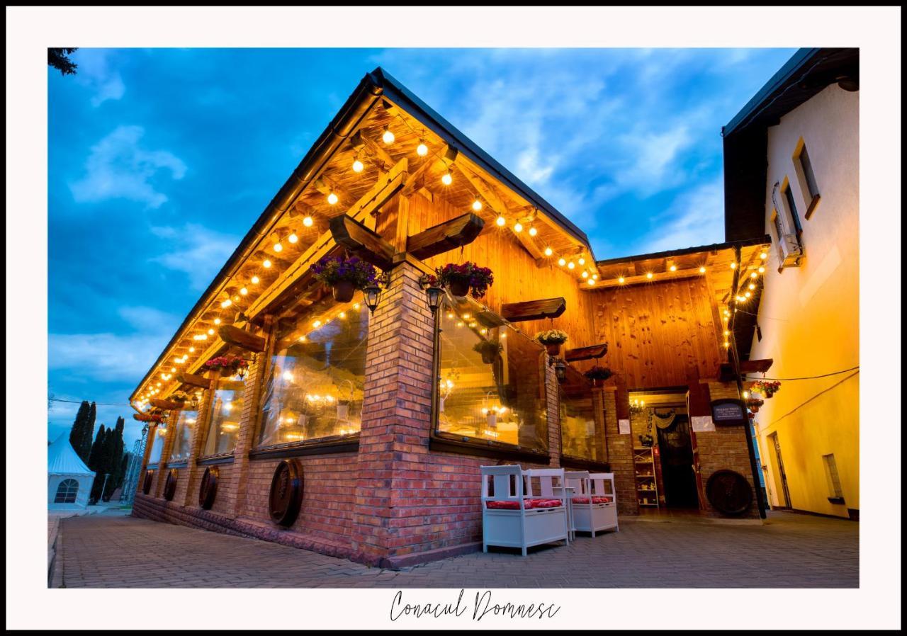Conacul Domnesc Hotel Scheia Bagian luar foto