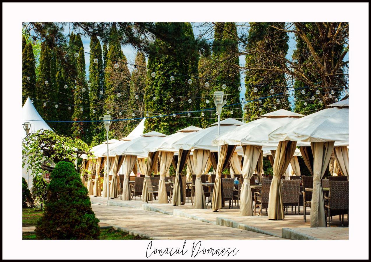 Conacul Domnesc Hotel Scheia Bagian luar foto